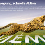 Hisense C2-ULTRA Smart Mini 4K UHD TriChroma Projektor 3000 lm