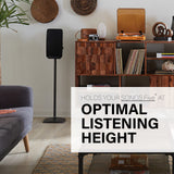 SANUS Five Standfuß