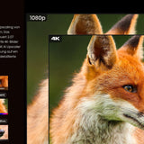 Hisense PL2 Laser Cinema 4K Ultra HD B-Ware